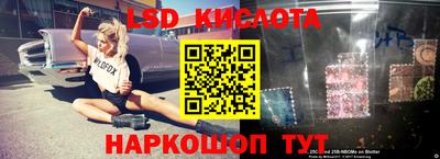 молекула духа Будённовск