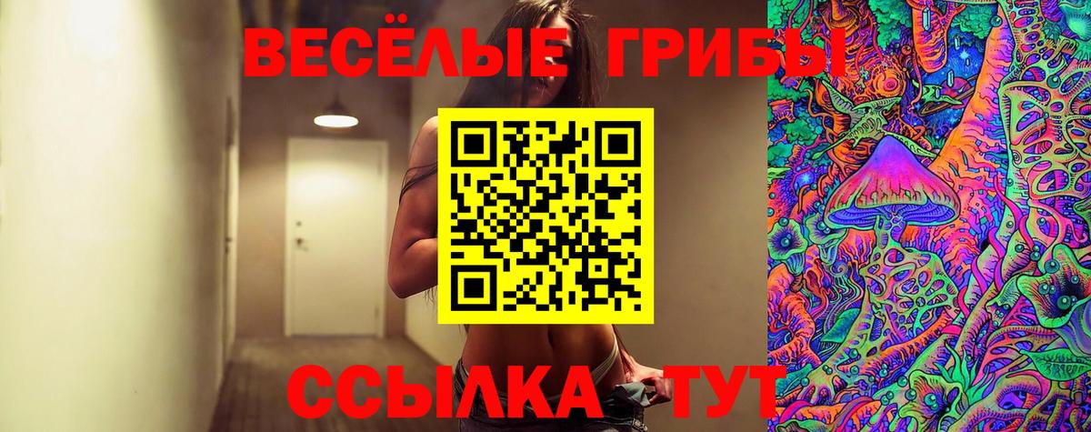 Галлюциногенные грибы мицелий Саров