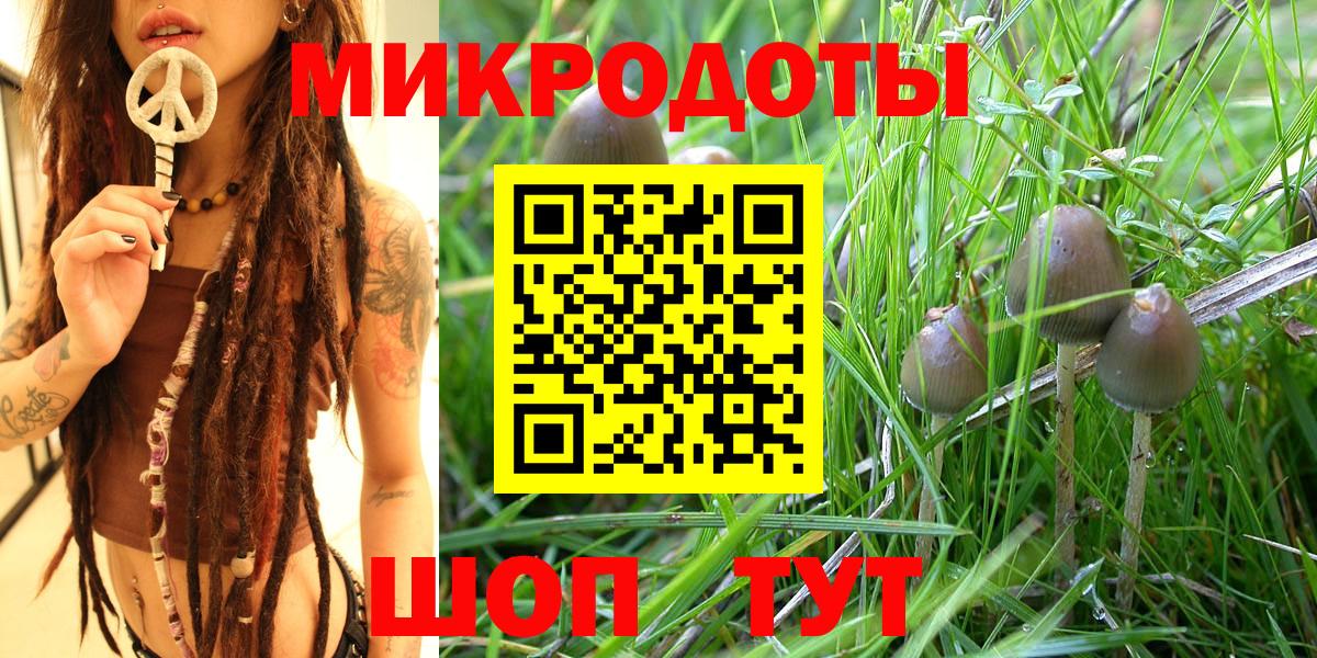 Саров  Псилоцибиновые грибы мухоморы  Вход с VPN 